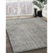 Machine Washable Traditional Gray Rug in a Family Room, wshtr3419