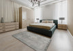 Machine Washable Traditional Gray Rug in a Bedroom, wshtr3419