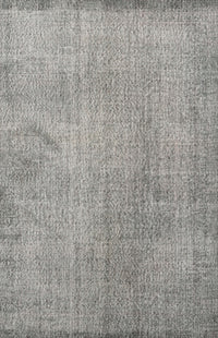 Machine Washable Traditional Gray Rug, wshtr3419