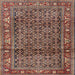Square Traditional Camel Brown Persian Rug, tr3421