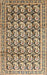 Traditional Coffee Brown Persian Rug, tr3423
