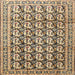 Square Traditional Coffee Brown Persian Rug, tr3423