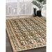 Machine Washable Traditional Coffee Brown Rug in a Family Room, wshtr3423