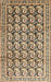 Machine Washable Traditional Coffee Brown Rug, wshtr3423