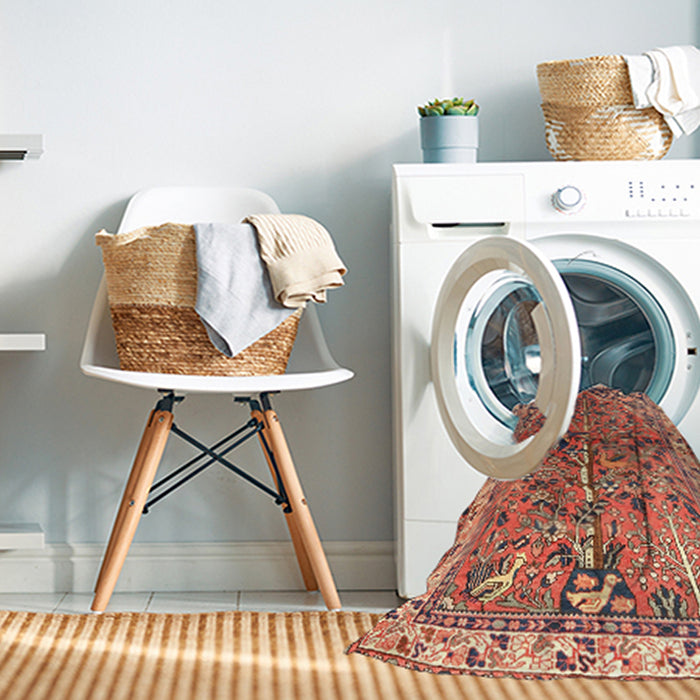 Machine Washable Traditional Sand Brown Rug in a Washing Machine, wshtr3424