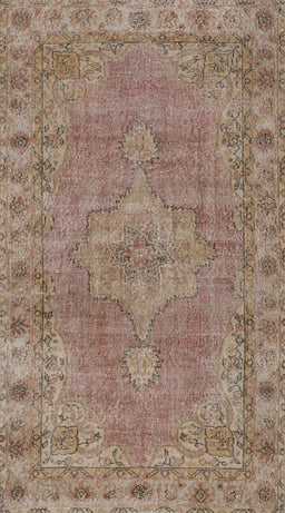 Machine Washable Traditional Light French Beige Brown Rug, wshtr3433