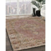 Traditional Light French Beige Brown Persian Rug in Family Room, tr3433