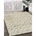 Machine Washable Traditional Camel Brown Rug in a Family Room, wshtr3435