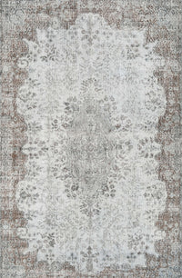 Machine Washable Traditional Light Gray Rug, wshtr3441