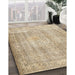 Machine Washable Traditional Dark Almond Brown Rug in a Family Room, wshtr3443