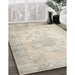 Machine Washable Traditional Sand Brown Rug in a Family Room, wshtr3444