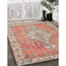 Traditional Orange Medallion Rug in Family Room, tr3452