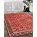 Traditional Sunrise Orange Persian Rug in Family Room, tr3461