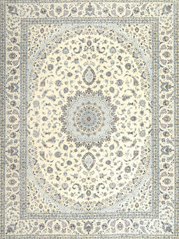 Machine Washable Traditional Dark Gray Rug, wshtr3462