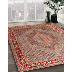 Traditional Sandy Brown Medallion Rug in Family Room, tr3474