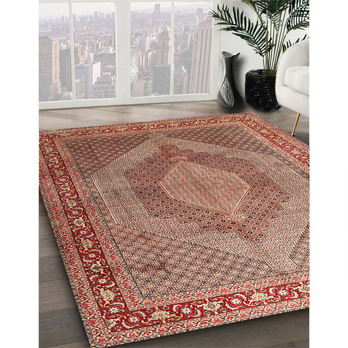 Traditional Sandy Brown Medallion Rug in Family Room, tr3474