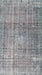 Machine Washable Traditional Silver Gray Rug, wshtr3479