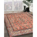 Traditional Brown Red Persian Rug in Family Room, tr3488