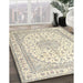 Traditional Vanilla Gold Medallion Rug in Family Room, tr3490