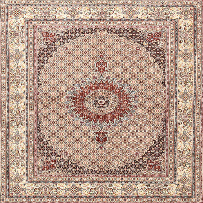 Square Traditional Deep Peach Orange Medallion Rug, tr3511