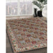 Machine Washable Traditional Light French Beige Brown Rug in a Family Room, wshtr3512