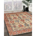 Traditional Chestnut Red Persian Rug in Family Room, tr351