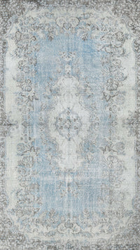 Machine Washable Traditional Light Gray Rug, wshtr3523