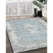 Machine Washable Traditional Light Gray Rug in a Family Room, wshtr3523