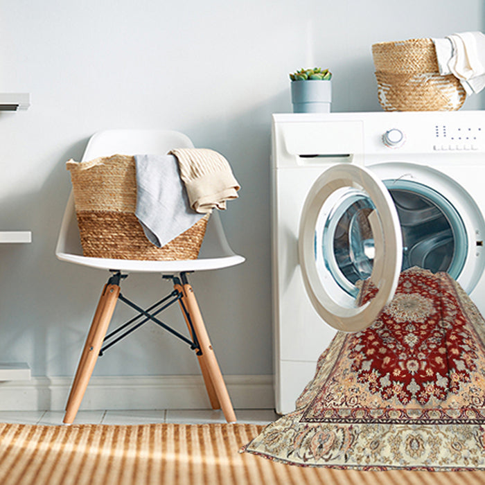 Machine Washable Traditional Brown Rug in a Washing Machine, wshtr3525
