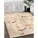 Traditional Peach Beige Persian Rug in Family Room, tr3536