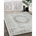 Machine Washable Traditional Dark Gray Rug in a Family Room, wshtr3541
