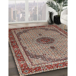 Traditional Light French Beige Brown Persian Rug in Family Room, tr3548