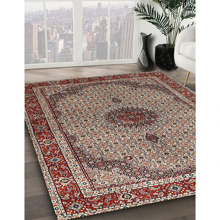 Traditional Light French Beige Brown Persian Rug in Family Room, tr3548