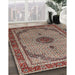 Traditional Light French Beige Brown Persian Rug in Family Room, tr3548