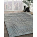 Machine Washable Traditional Dark Gray Rug in a Family Room, wshtr3556
