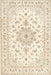 Traditional Peach Beige Persian Rug, tr3557