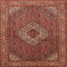 Square Traditional Copper Red Pink Medallion Rug, tr3559