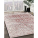 Machine Washable Traditional Rose G Pink Rug in a Family Room, wshtr3568