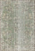 Traditional Khaki Green Persian Rug, tr3569