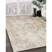 Machine Washable Traditional Light French Beige Brown Rug in a Family Room, wshtr3571