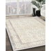 Traditional Champagne Beige Persian Rug in Family Room, tr3579