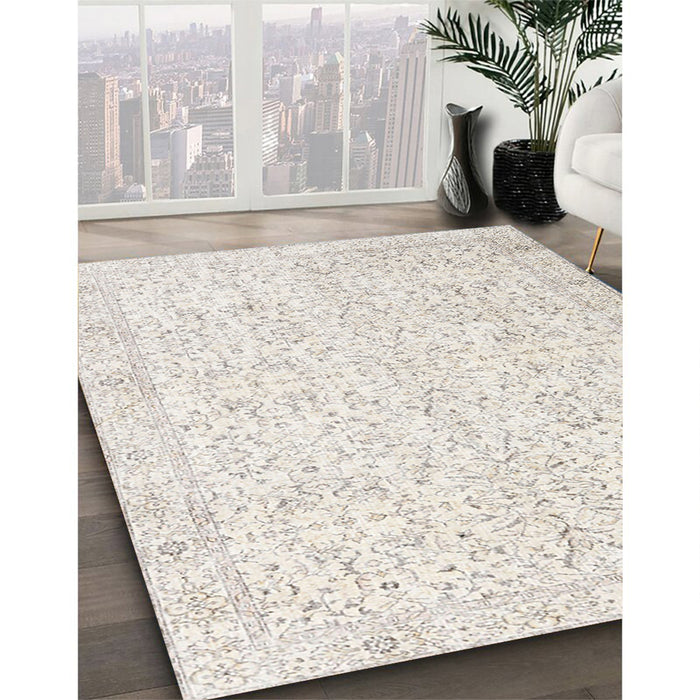 Traditional Champagne Beige Persian Rug in Family Room, tr3581