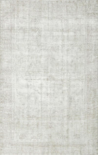 Machine Washable Traditional Pale Silver Gray Rug, wshtr3582