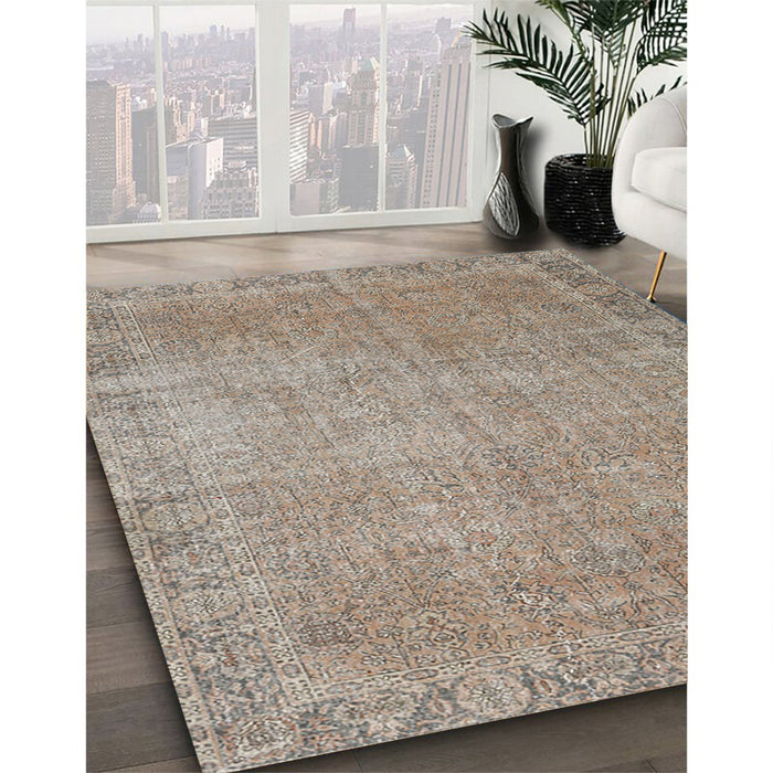 Machine Washable Traditional Light French Beige Brown Rug in a Family Room, wshtr3587