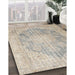 Traditional Desert Sand Beige Persian Rug in Family Room, tr3588