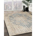 Machine Washable Traditional Desert Sand Beige Rug in a Family Room, wshtr3588