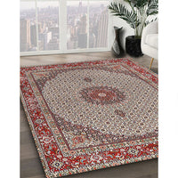 Traditional Tan Brown Medallion Rug, tr3590