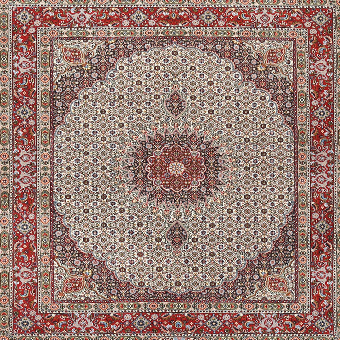Square Traditional Tan Brown Medallion Rug, tr3590
