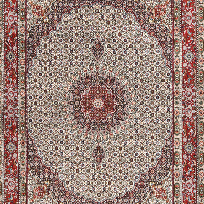 Traditional Tan Brown Medallion Rug, tr3590