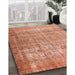 Traditional Light Salmon Rose Pink Persian Rug in Family Room, tr3592